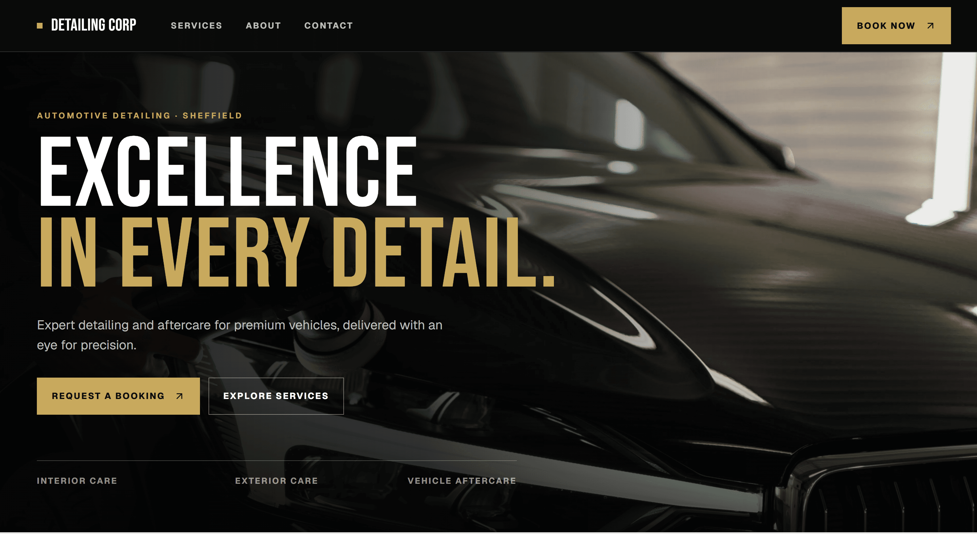 Detailing Corp automotive detailing website concept preview